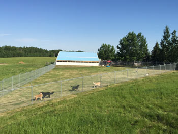 Our facility